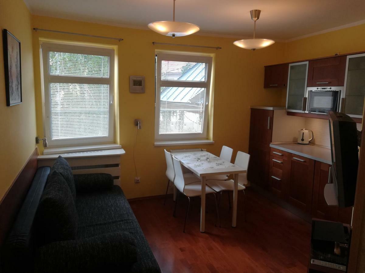 Apartments Rokytka 308 & 405 捷克布杰约维采 外观 照片