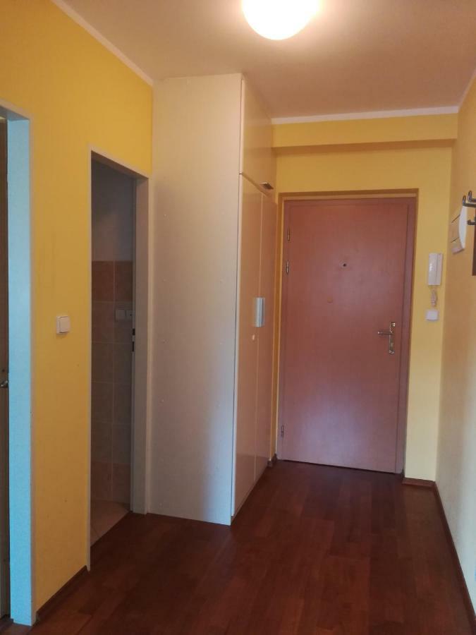 Apartments Rokytka 308 & 405 捷克布杰约维采 外观 照片