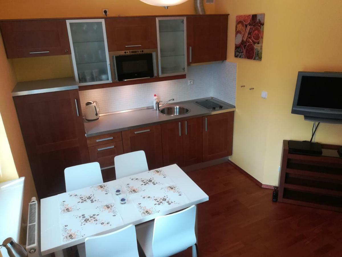 Apartments Rokytka 308 & 405 捷克布杰约维采 外观 照片