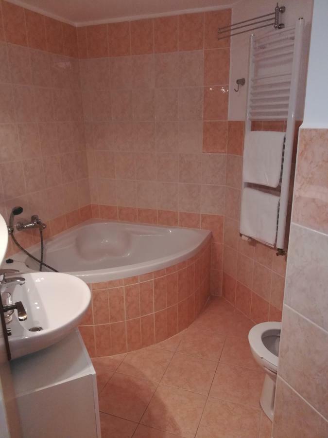 Apartments Rokytka 308 & 405 捷克布杰约维采 外观 照片